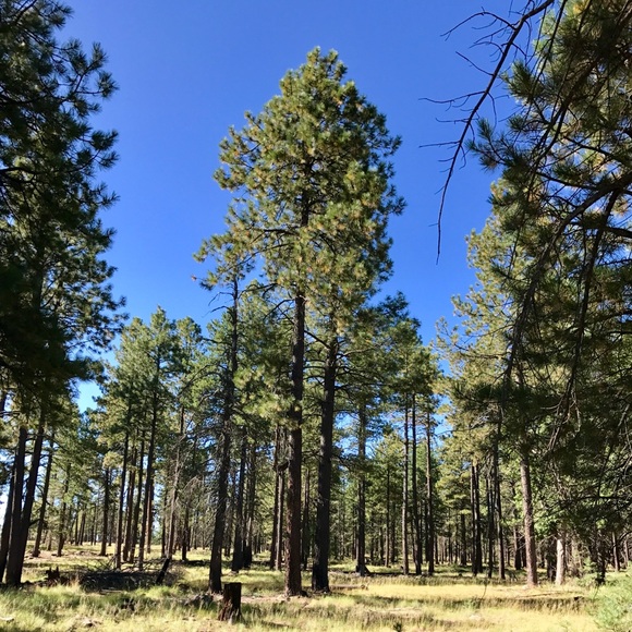 My name is Jesse I sell clothes. - Picture 1 of 1